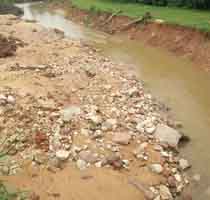 免費鋪樣支持-門窗十大品牌